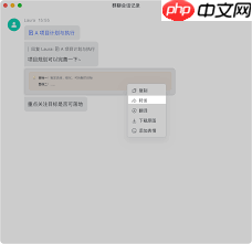 如何转发飞书群聊记录
