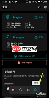 magisk如何安装本地模块