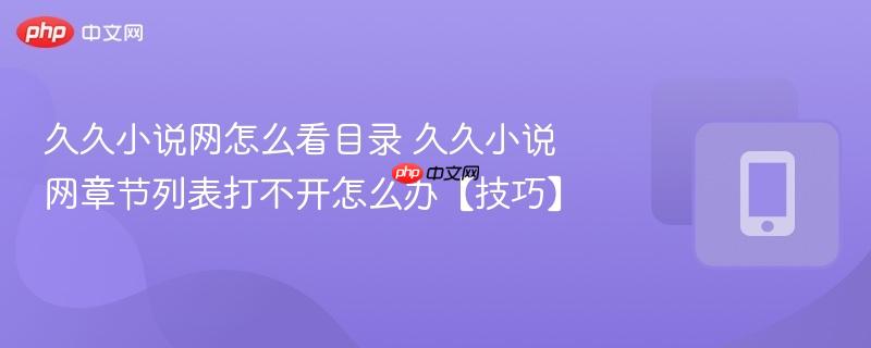 久久小说网怎么看目录 久久小说网章节列表打不开怎么办【技巧】