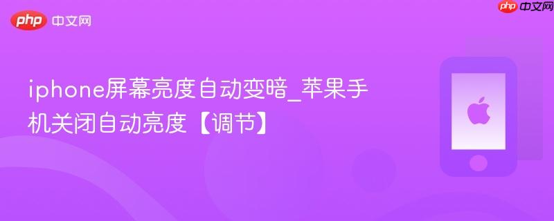 iphone屏幕亮度自动变暗_苹果手机关闭自动亮度【调节】