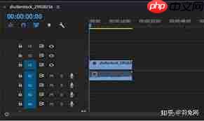 Pr如何给视频添加放大效果