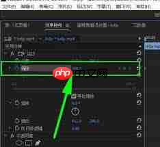 Pr如何给视频添加放大效果