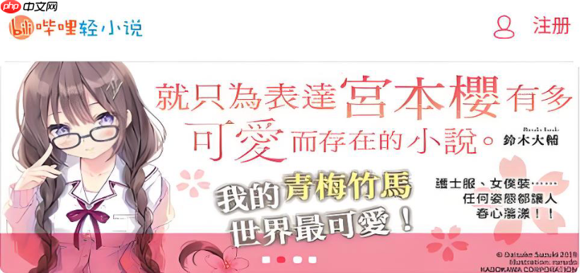 哔哩轻小说在线看入口_书友交流评论区