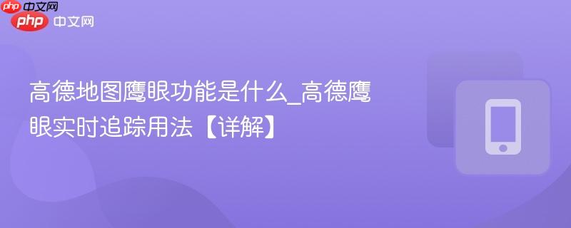 高德地图鹰眼功能是什么_高德鹰眼实时追踪用法【详解】