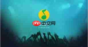 汽水音乐的歌如何导入QQ音乐