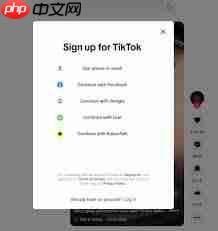 tiktok网页版登录地址是什么