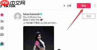 tiktok网页版登录地址是什么