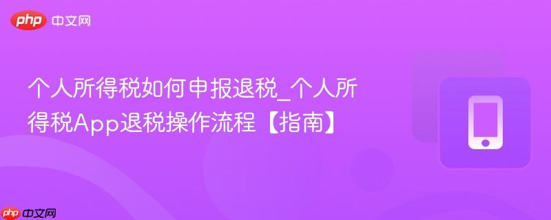 个人所得税如何申报退税_个人所得税app退税操作流程【指南】