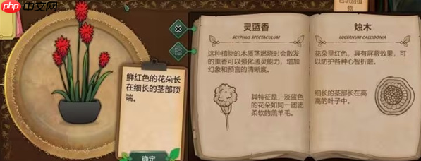 奇异园艺结局是什么 奇异园艺全结局攻略