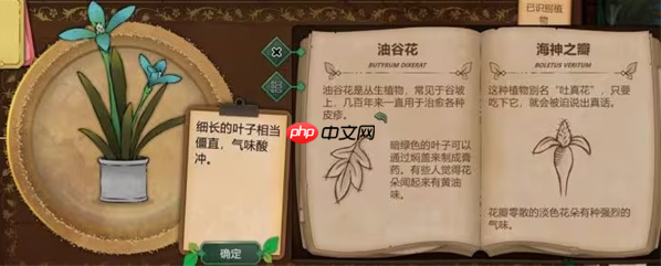 奇异园艺结局是什么 奇异园艺全结局攻略