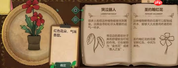 奇异园艺结局是什么 奇异园艺全结局攻略