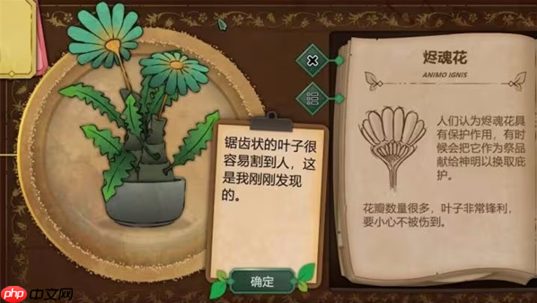 奇异园艺结局是什么 奇异园艺全结局攻略