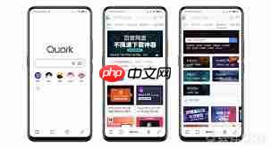 夸克浏览器手机端怎样实现快速搜索