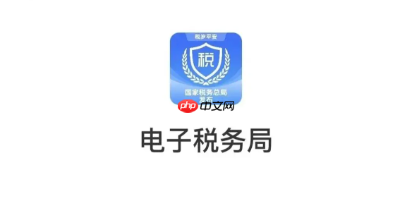 国家税务局网上办税入口 电子税务局官方网站