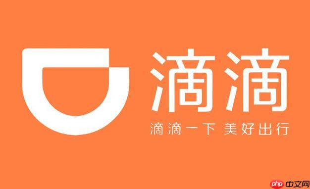 滴滴出行2025年度报告网页版入口 滴滴年度账单查看步骤