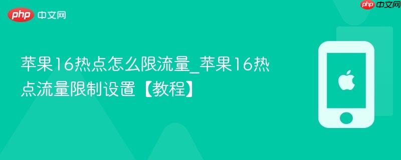 苹果16热点怎么限流量_苹果16热点流量限制设置【教程】