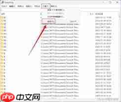 Everything如何开启实时搜索