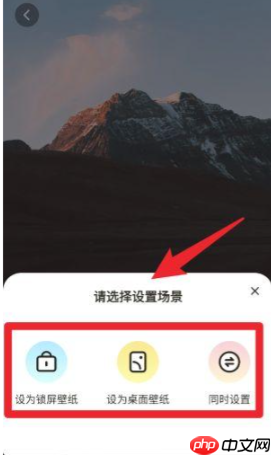 拇指壁纸app怎么使用壁纸-壁纸使用方法