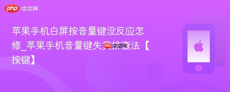 苹果手机白屏按音量键没反应怎修_苹果手机音量键失灵排查法【按键】