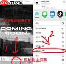 如何登录蔡徐坤个人网站