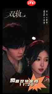 双轨电视剧何时播出