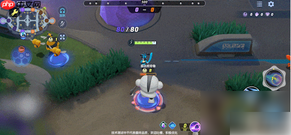 宝可梦大集结路卡利欧怎么玩 宝可梦大集结路卡利欧玩法推荐