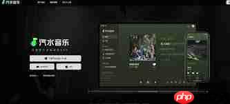 汽水音乐怎么关注歌手