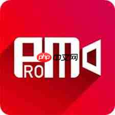 如何打开promovie水印