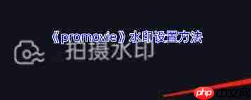 如何打开promovie水印