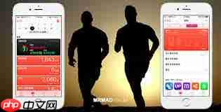 苹果手机用什么软件测步数