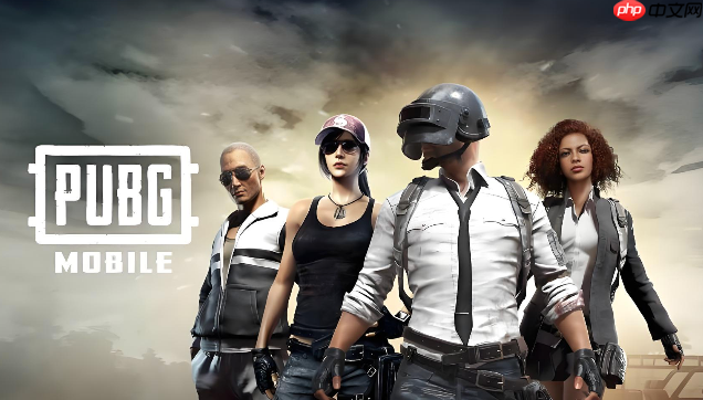 pubg官网入口手游下载 pubg官网入口正版下载