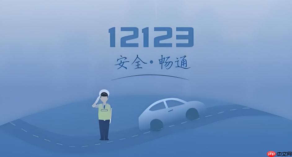 12123处理违章显示不支持网上办理怎么办 12123违章申诉流程