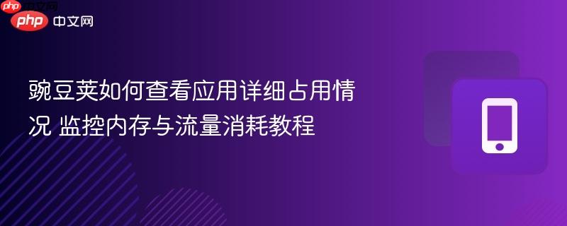 豌豆荚如何查看应用详细占用情况 监控内存与流量消耗教程