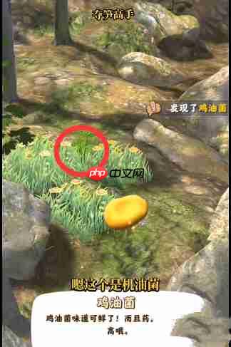 夺笋高手金钗石斛怎么触发 夺笋高手金钗石斛获得方法