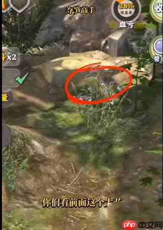 夺笋高手金钗石斛怎么触发 夺笋高手金钗石斛获得方法