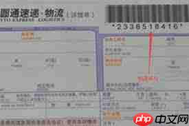 如何进行圆通包裹查询单号输入