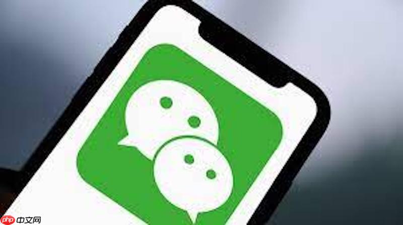 微信实名认证查询在哪里_微信实名认证查询入口位置详解