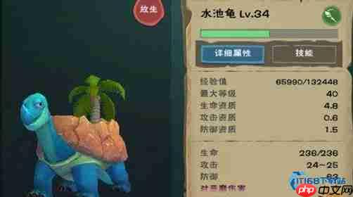 高效驯服水池龟！新手必备饲料攻略与实战技巧