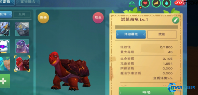 高效驯服水池龟！新手必备饲料攻略与实战技巧