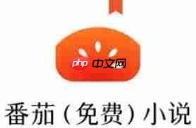 番茄免费小说如何关闭广告