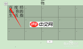wps文字显示不全怎么调整