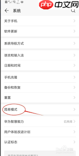 vivo智能手机开启老年模式步骤
