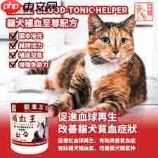 中草药宠粮如何进补