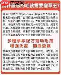 中草药宠粮如何进补