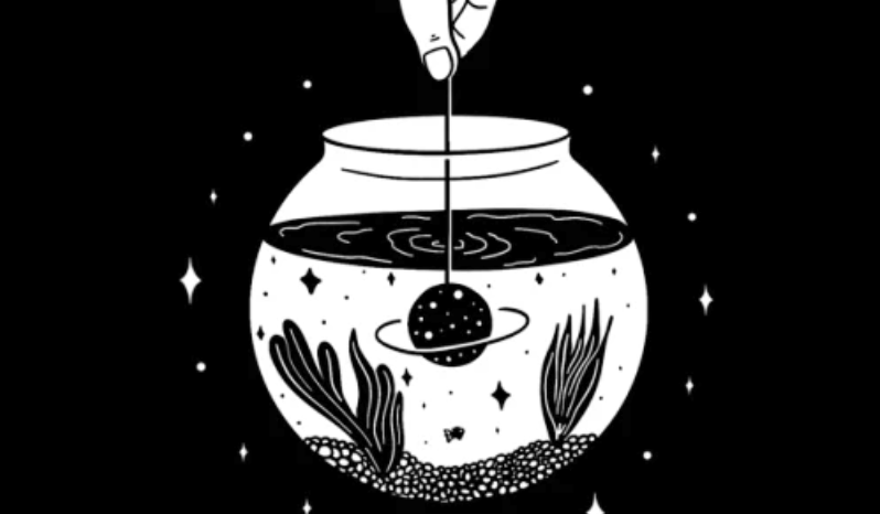 fishbowl在线测评官方链接 fishbowl鱼缸性能体验入口 - 98游戏