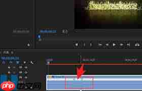 pr如何调节视频速度