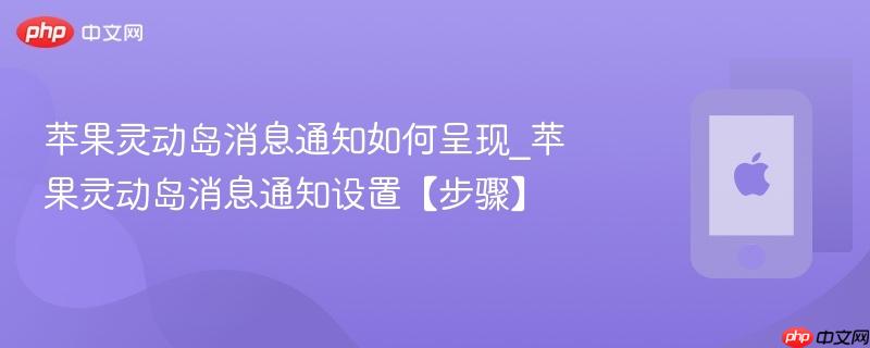 苹果灵动岛消息通知如何呈现_苹果灵动岛消息通知设置【步骤】