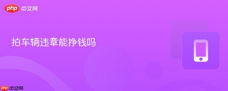 拍车辆违章能挣钱吗