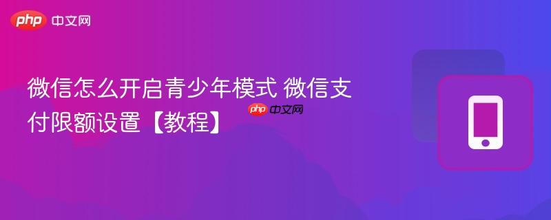 微信怎么开启青少年模式 微信支付限额设置【教程】
