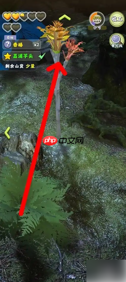 夺笋高手如何获得到香椿 夺笋高手获得香椿方法